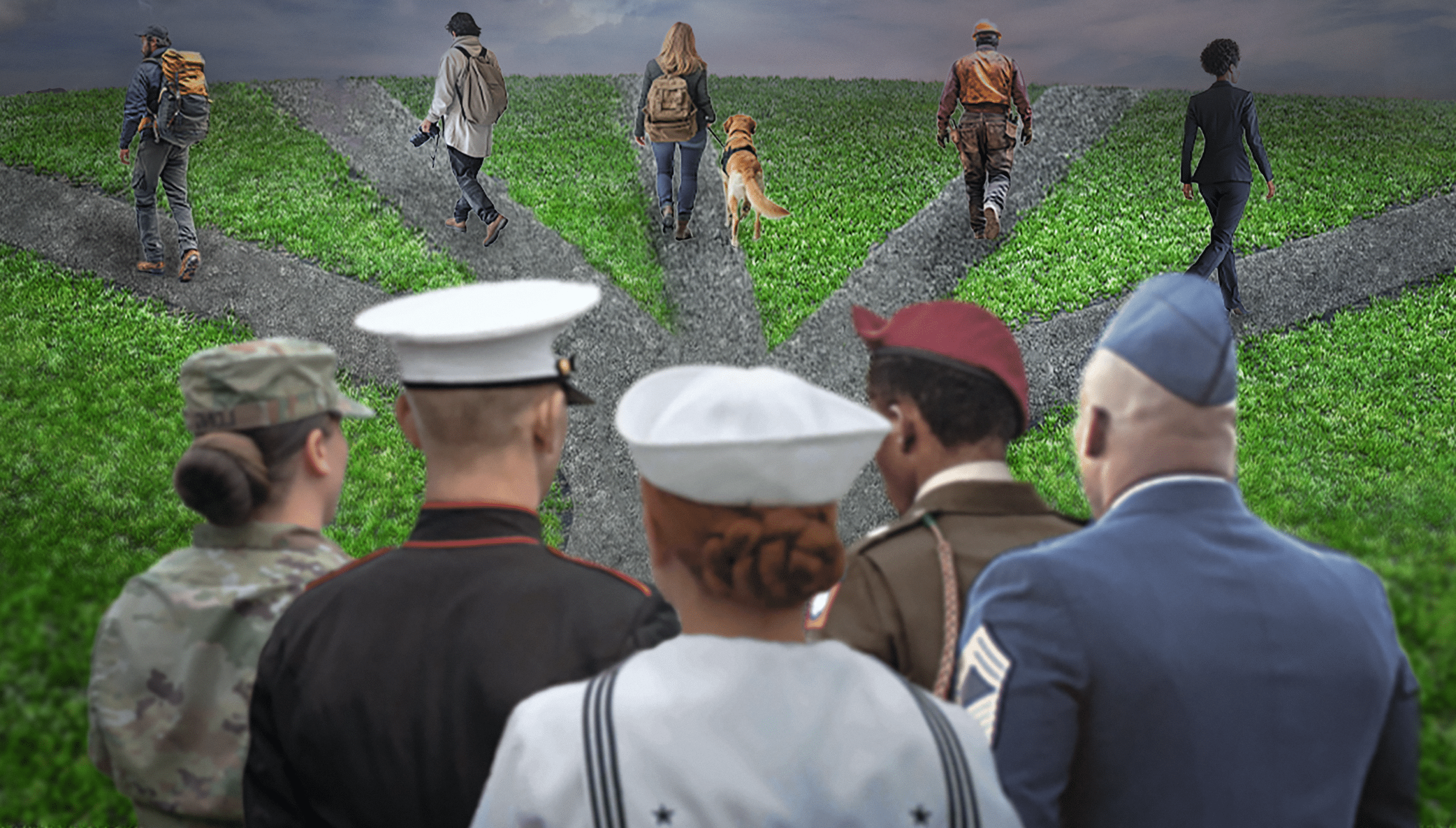 A group of military veterans look forward to multiple roads diverging, representing the different career paths they can take.